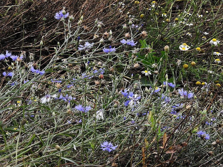 Am Boden und in der Luft