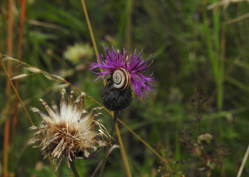 Am Boden und in der Luft