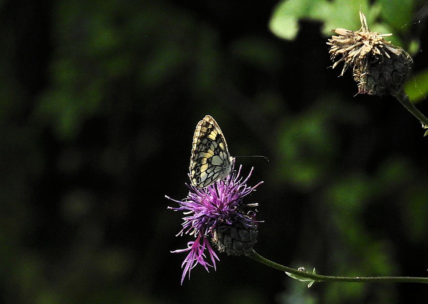 Am Boden und in der Luft