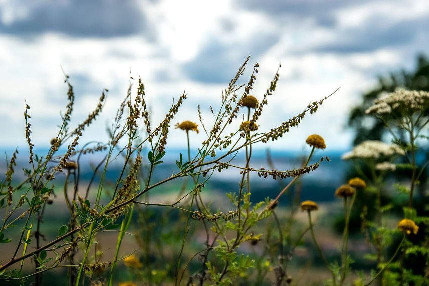 Ausflug zur Burgrunie Hohnstein
