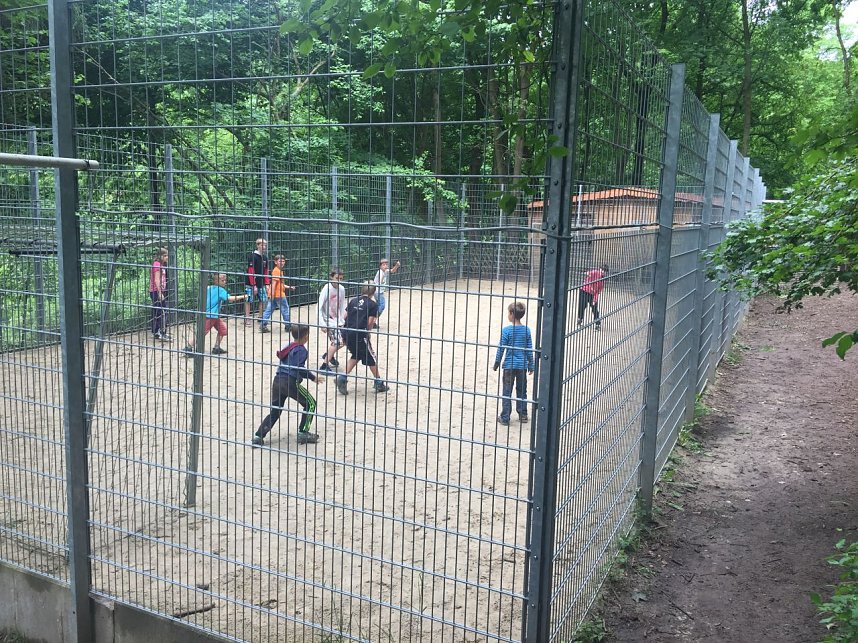 Erlebnisreiche Tage im Schneckenhengst