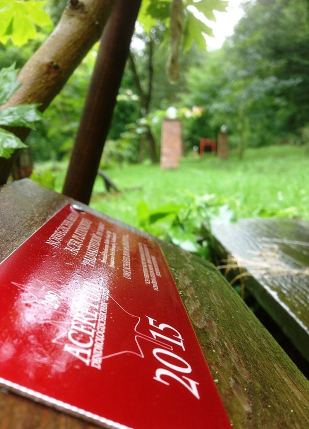 Auch im Regen sch&ouml;n: Der Ahornpark in Ilfeld