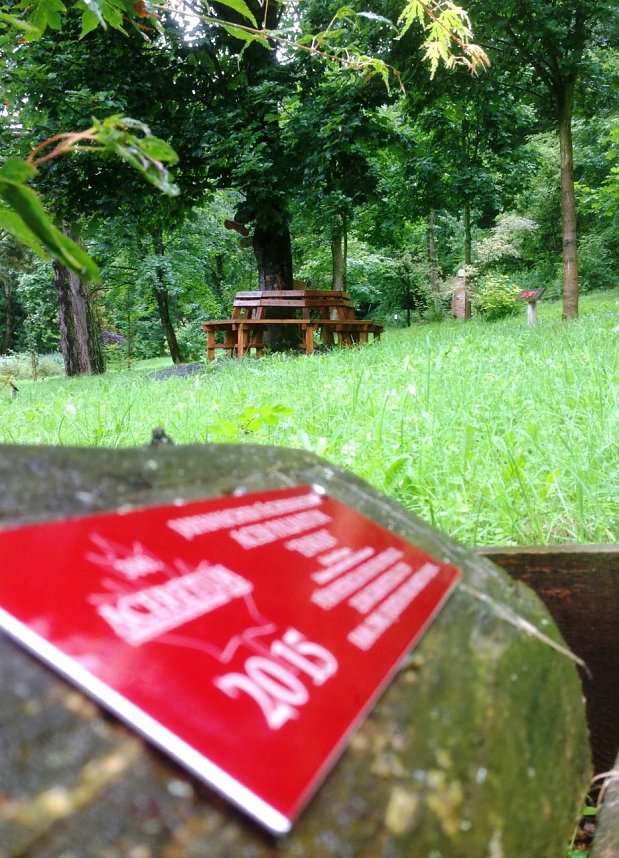 Auch im Regen sch&ouml;n: Der Ahornpark in Ilfeld