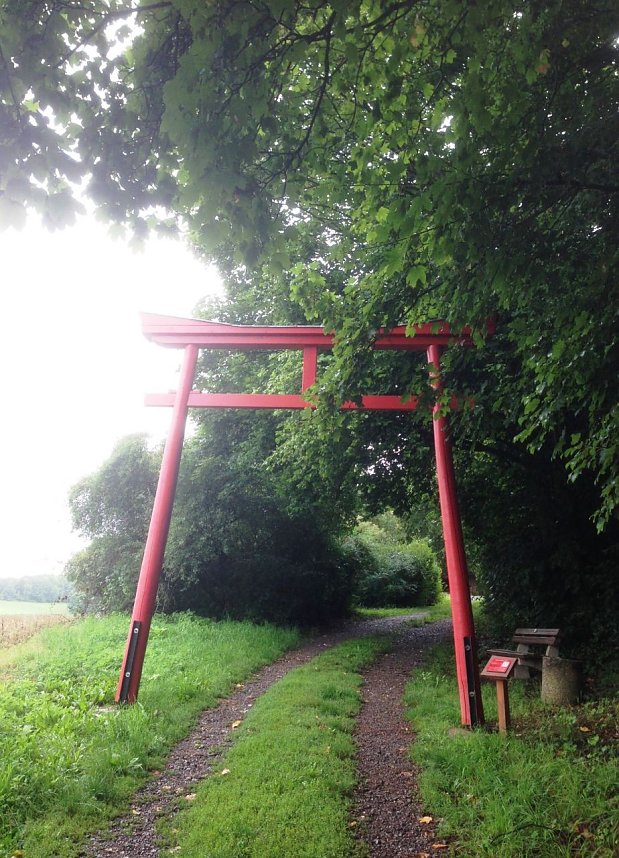 Auch im Regen sch&ouml;n: Der Ahornpark in Ilfeld