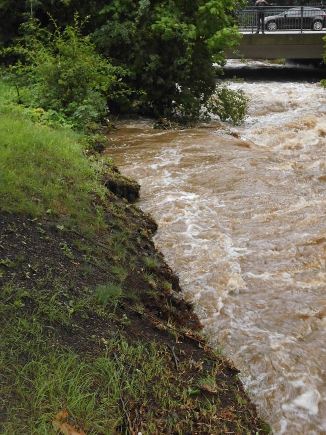 Am Mittwoch in Wernigerode