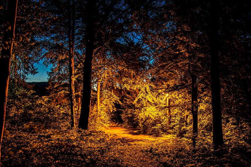 Abendspaziergang bei Bleicherode