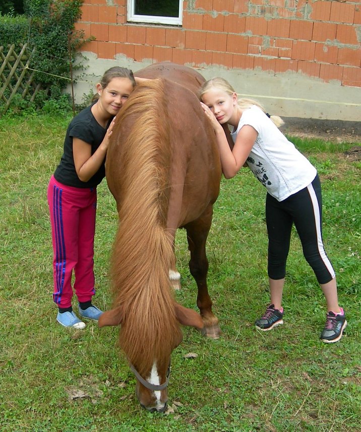 Ferien im S&uuml;dharz - die Feriencamps Harz Rigi und Schneckenhengst erfreuen sich steigender Beliebtheit