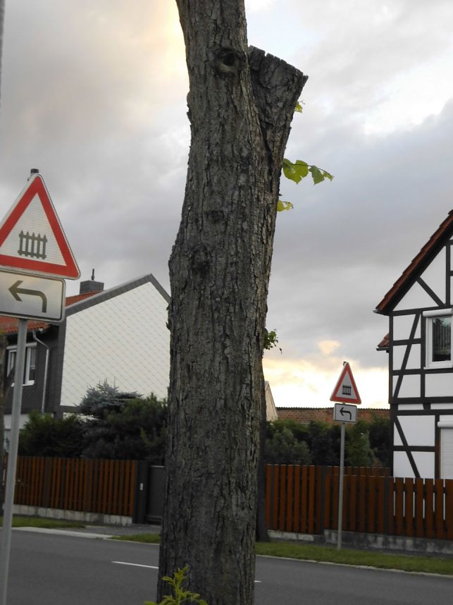 Wie soll k&uuml;nftig die B4 aussehen?