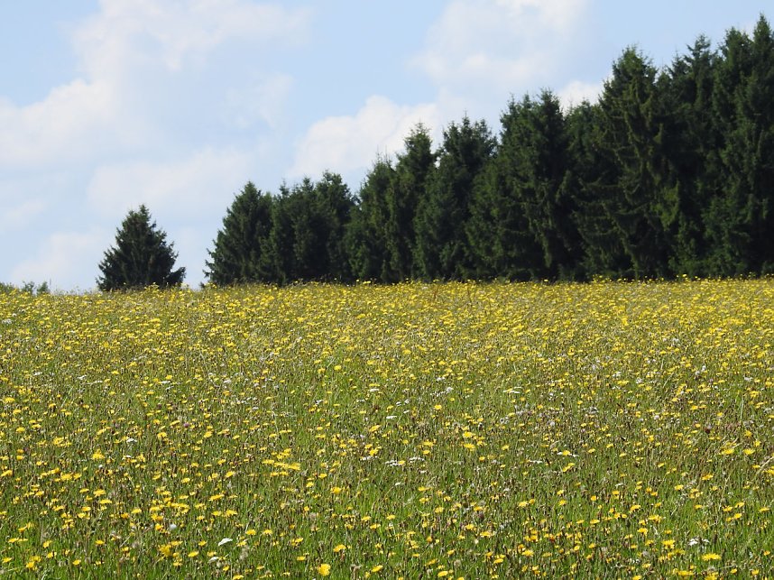 Peter Blei am Josephskreuz