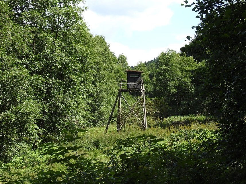 Peter Blei am Josephskreuz