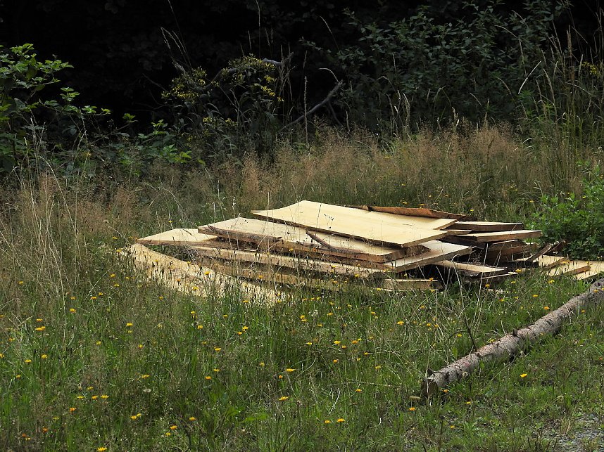 Peter Blei am Josephskreuz