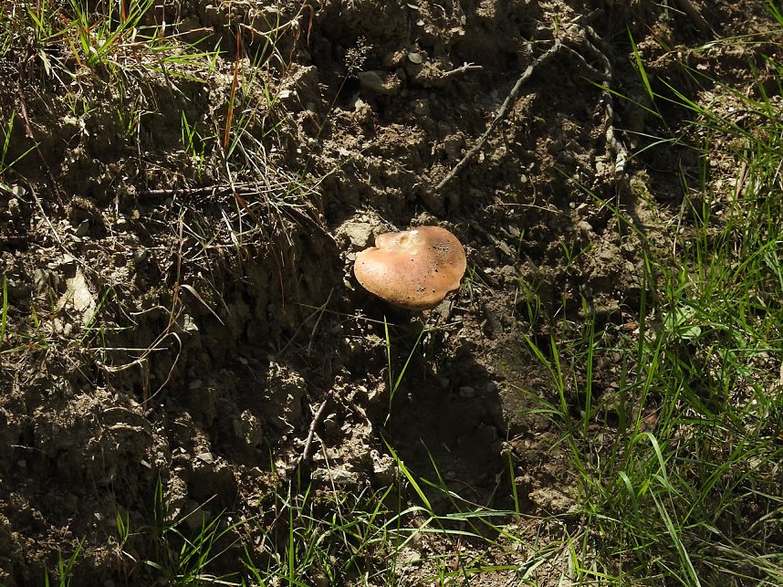 Peter Blei am Josephskreuz