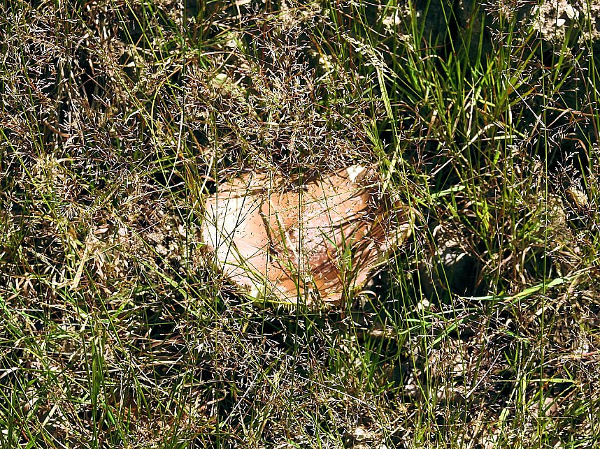 Peter Blei am Josephskreuz