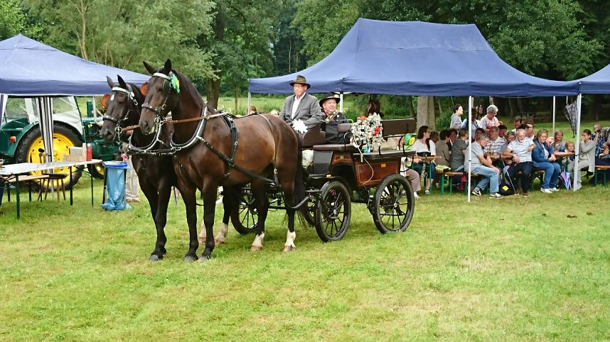Park- und Seerosenfest in Werna