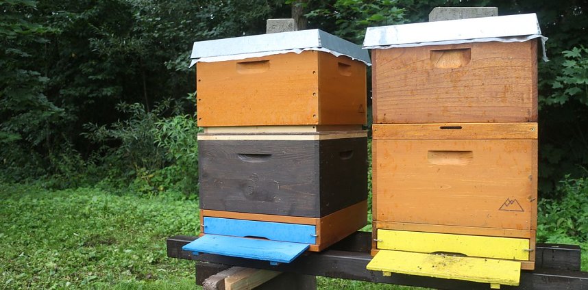 Erster Nordth&uuml;ringer Bienenlehrpfad er&ouml;ffnet