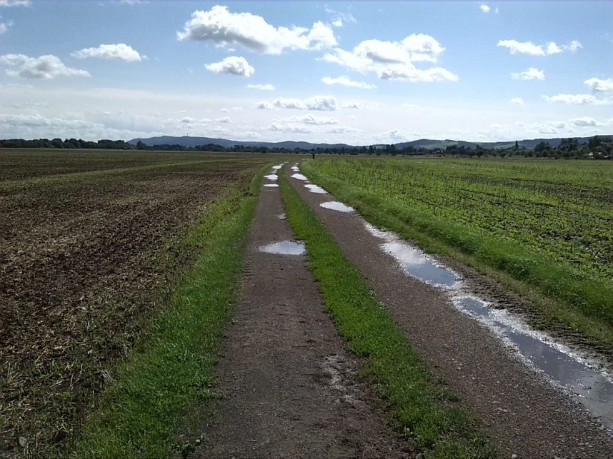 Helme, Zorge und Thyra besser sch&uuml;tzen