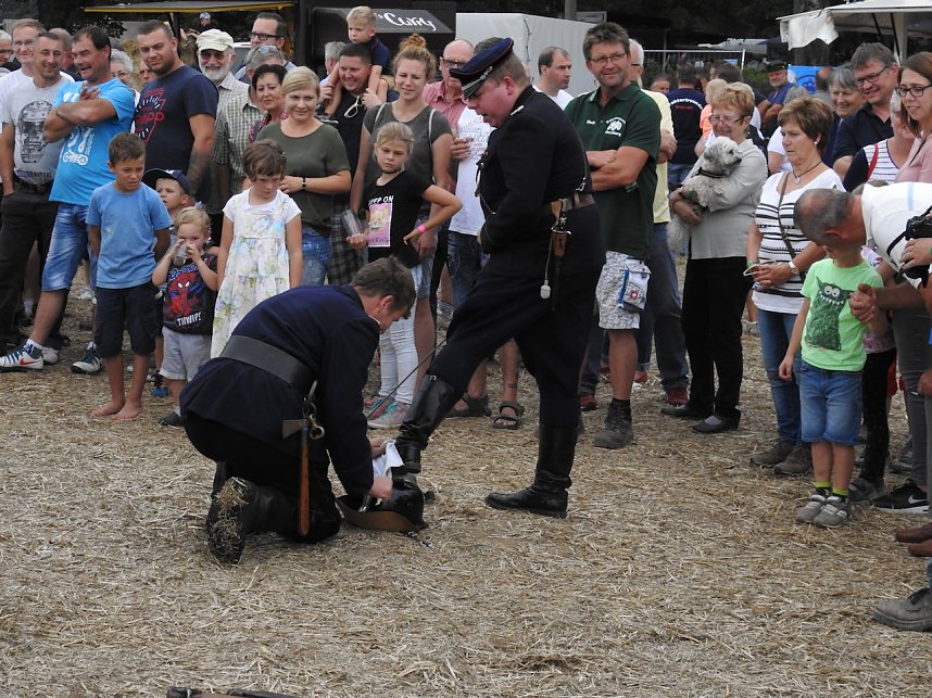 10. Schlepperfest in Herrmannsacker