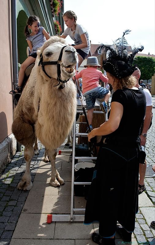 Mittelalter in Bad Langesalza