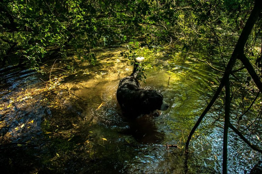 Ausflug zur Salzaquelle
