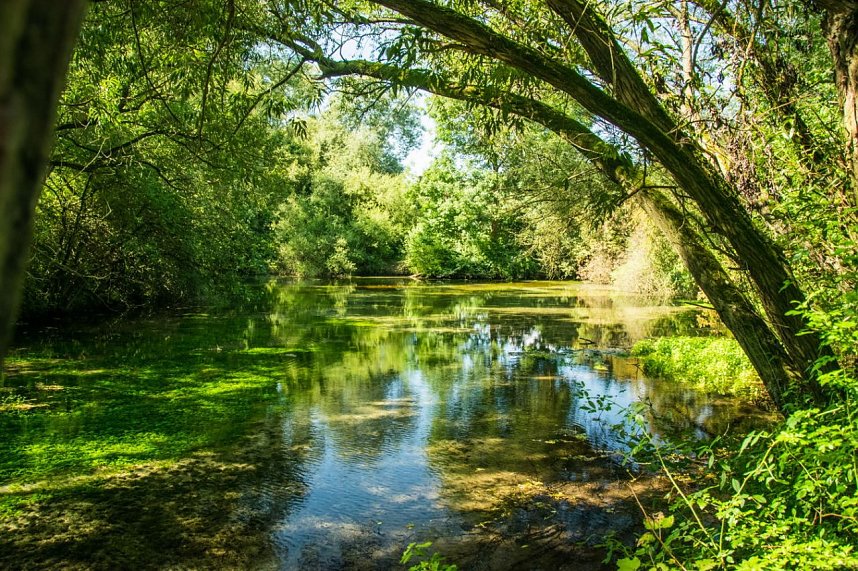 Ausflug zur Salzaquelle