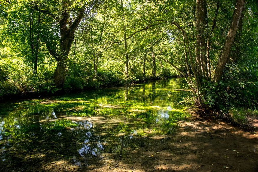 Ausflug zur Salzaquelle