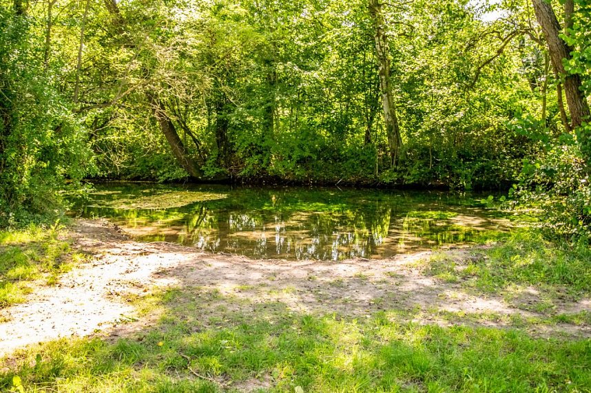 Ausflug zur Salzaquelle