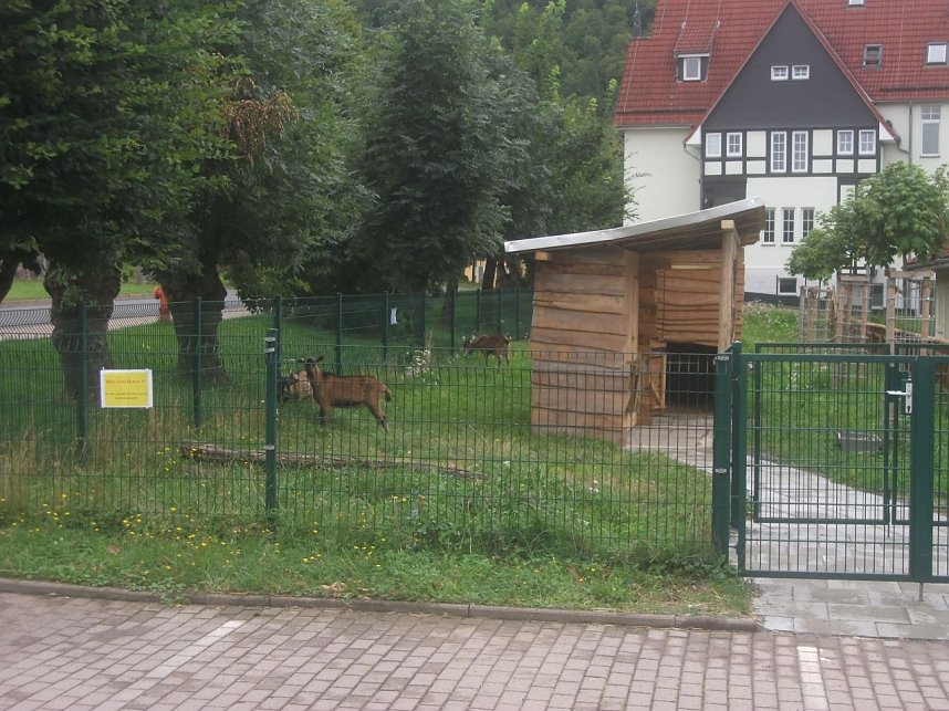 Der August im Ilfelder Sonnenhof