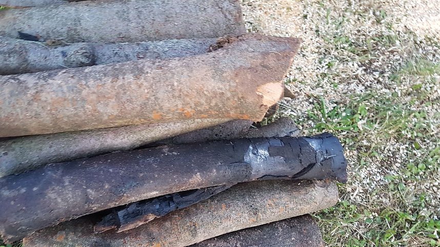 K&ouml;hlertage an der Arche Nebra