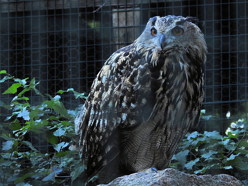 Zu Gast im Tierpark Dessau