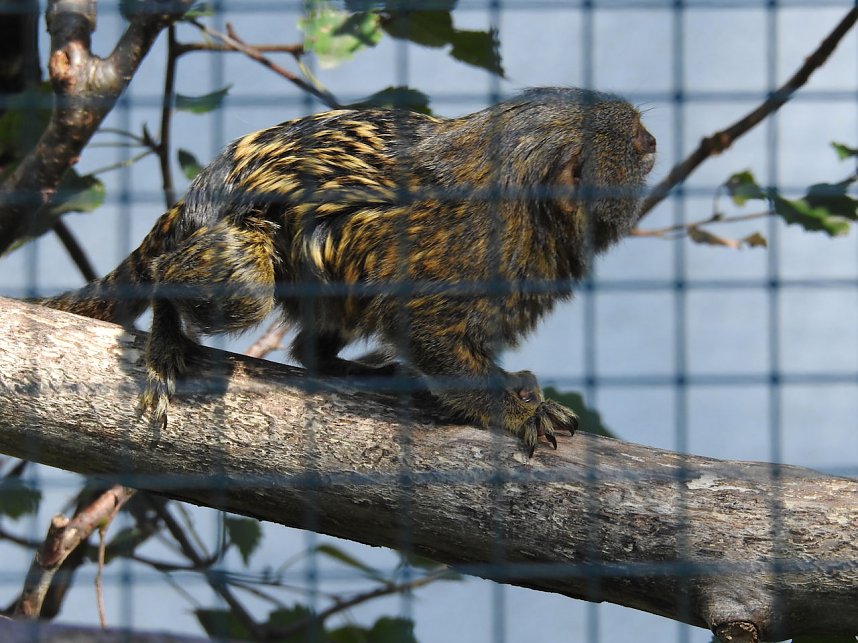 Zu Gast im Tierpark Dessau