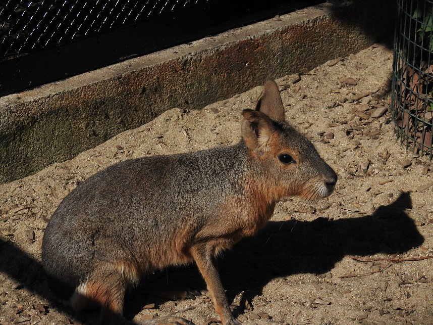 Zu Gast im Tierpark Dessau