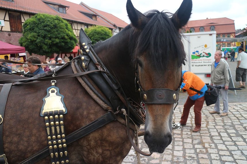 Schlossfest Heringen