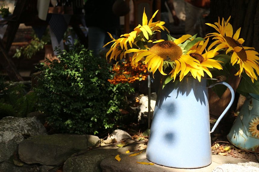 Tag des offenen Denkmals in Auleben und Heringen