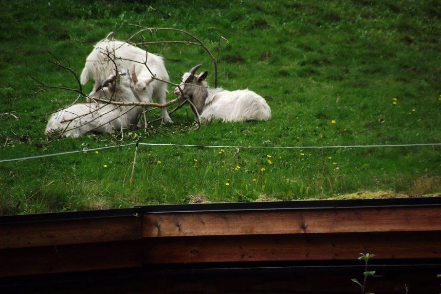 Unterwegs im Land der Trolle