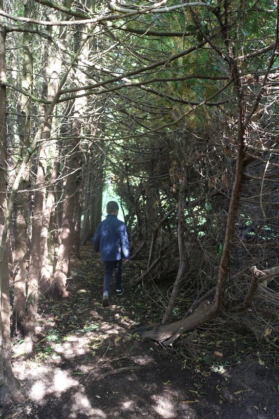 Tag der offenen T&uuml;r in der Werkstatt der Lebenshilfe in Klettenberg