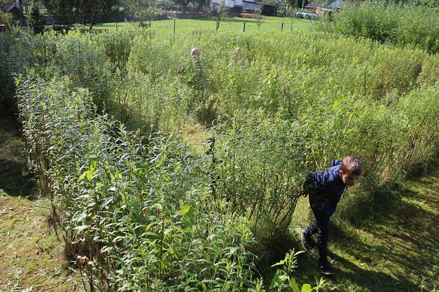 Tag der offenen T&uuml;r in der Werkstatt der Lebenshilfe in Klettenberg