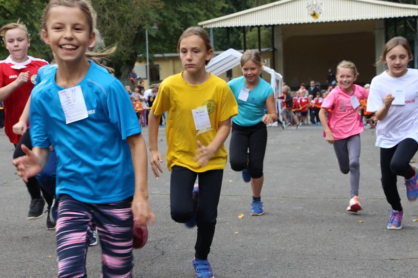 919 L&auml;uferinnen und L&auml;ufer - Neuer Rekord!