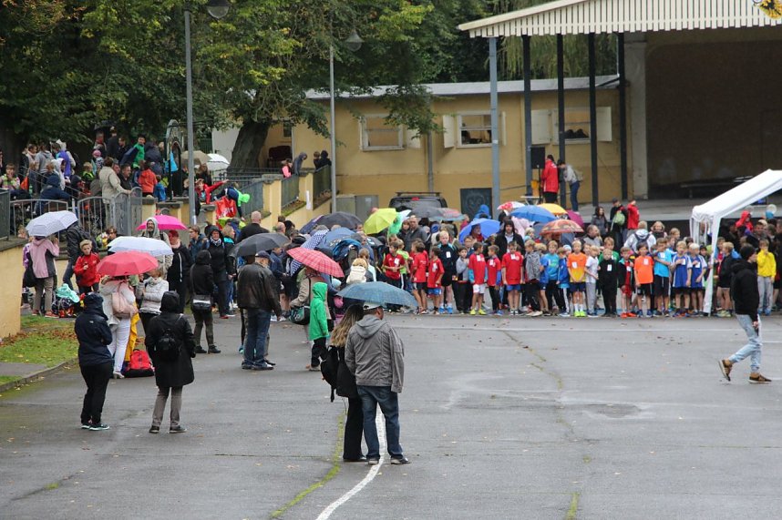 919 L&auml;uferinnen und L&auml;ufer - Neuer Rekord!