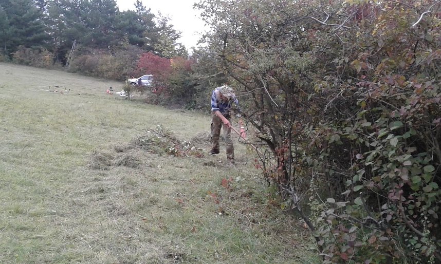 F&uuml;r Bienen-Ragwurz und Spargelerbse