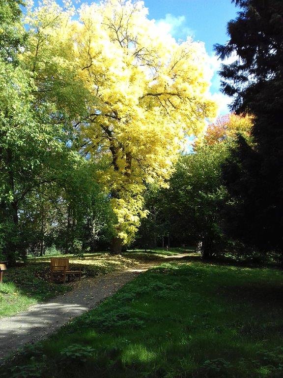 Das kann nur die Natur