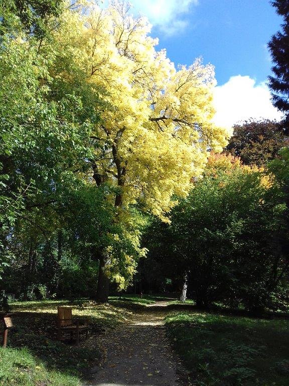 Das kann nur die Natur