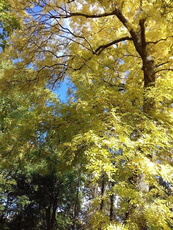 Das kann nur die Natur