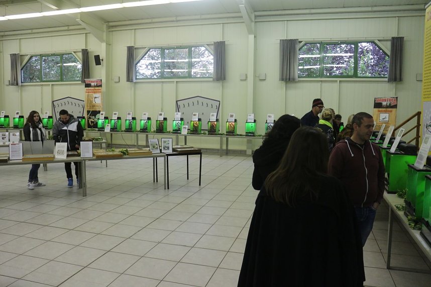 Spinnen- und Insektenschau in Sundhausen