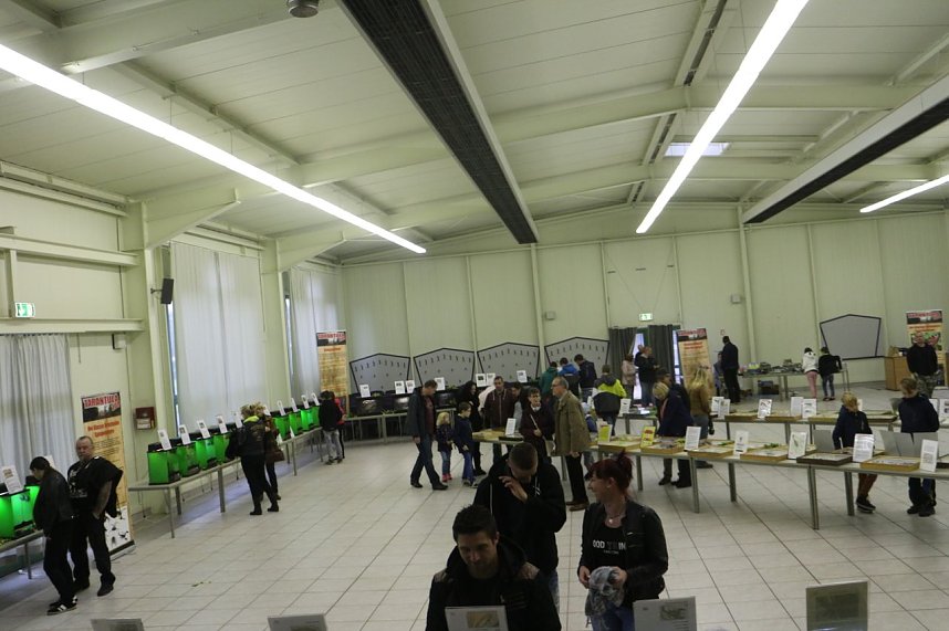 Spinnen- und Insektenschau in Sundhausen