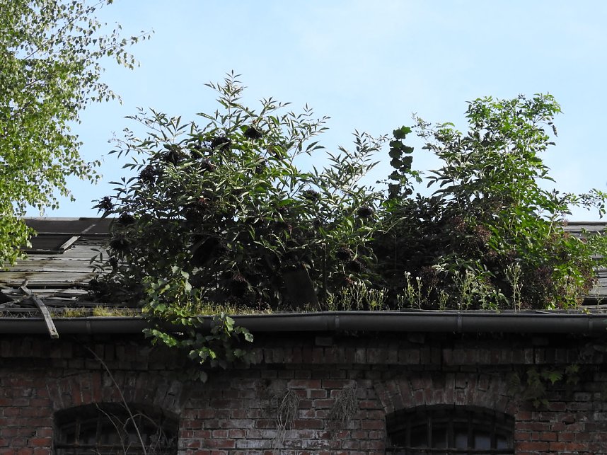 Der alte Knast in der Nachbarstadt