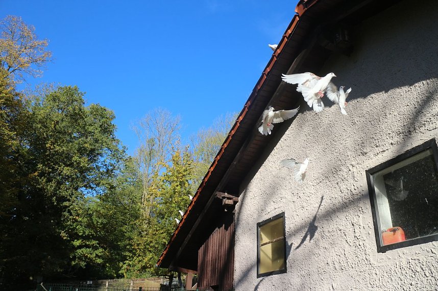 Goldener Herbst im B&auml;renpark Worbis