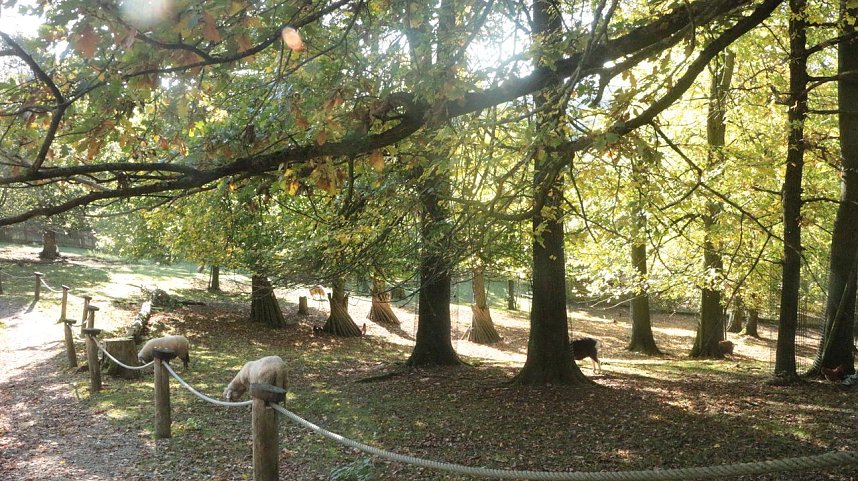 Goldener Herbst im B&auml;renpark Worbis