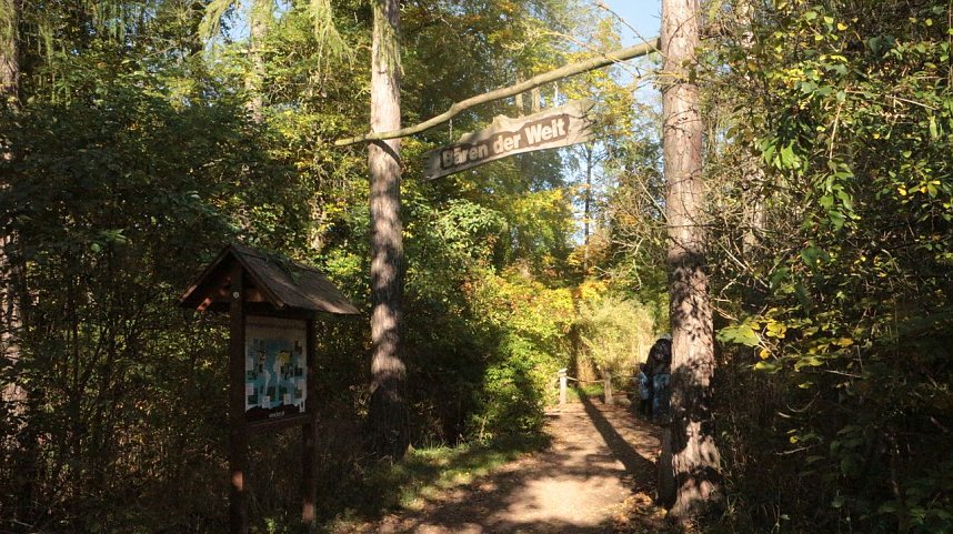 Goldener Herbst im B&auml;renpark Worbis