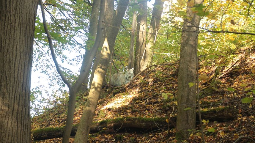 Goldener Herbst im B&auml;renpark Worbis