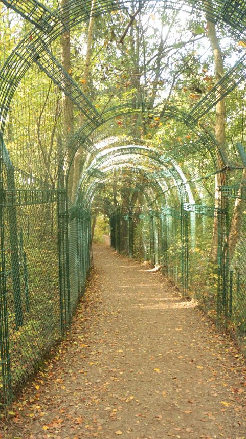 Goldener Herbst im B&auml;renpark Worbis